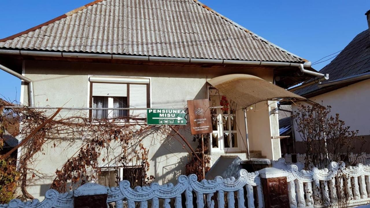 Гостевой дом Pensiunea Misu Budeşti-15
